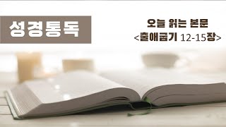 2025 성경1독 프로젝트 (20) - 출 12~15장