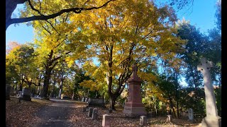 Walking through St James Cemetery, Toronto.  November 2024