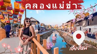 Take a walk along Mae Kha Canal, Chiang Mai,