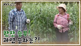 땅을 사고 싶은 일개미 남편 VS 절대 반대 아내의 한판 승부!! 과연 승자는?! MBN 220819 방송