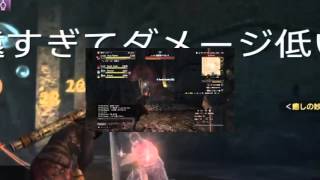 【ＤＤＯＮ】ドラゴンズドグマオンライン【エニグマ★4でベヘモットに検証】