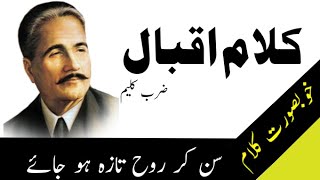 Kalam-e-Iqbal | Allama Muhammad Iqbal Poetry | Best Voice | Zarb-e-Kaleem | T for TV |2020