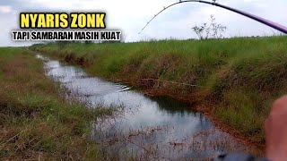 NEKAT CASTING DI LOKASI SETRUM // CASTING IKAN GABUS