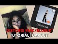 TUTORIAL BLUBUK-BULUBUK/DISTORSI RIAK ON CAPCUT #tutorial #capcut