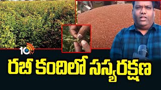 Rabi Seasion Kandi Cultivation Protection |రబీ కందిలో సస్యరక్షణ | Matti Manishi | 10TV