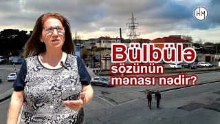 "Bul-bul" edən bulaq, bülbüllərin cənnət məkanı - BÜLBÜLƏ SÖZÜNÜN MƏNASI İLƏ BAĞLI MARAQLI FİKİRLƏR