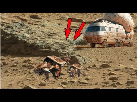 Mars New Rover Perseverance Footage 4k Nasa Space Video Sol 124 Youtube