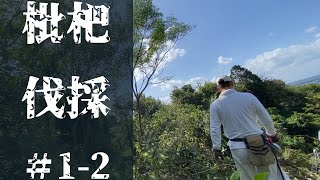 [レモン栽培]＃1-2 枇杷伐採[2021/10/17]