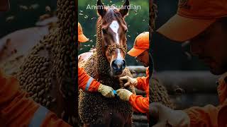 Rescue team saves horse that had millions of bees on its body #barnacles