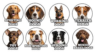 Every DOG TYPE Explained in Just 15 Minutes