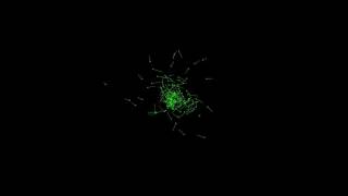200 bodies with gravity - python