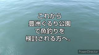 第107話 サカナが釣れない＠豊洲ぐるり公園