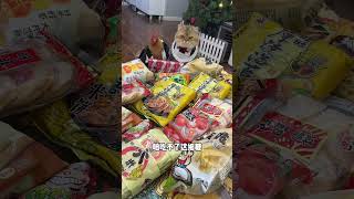 【#毛桃桃大眼袋】【#毛桃桃大眼袋】胜男:别吵 我在思考#猫咪带小鸡 #饲养员日常