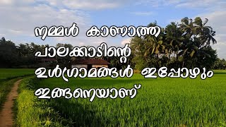 Remote Villages of Palakkad | നമ്മൾ കാണാത്ത പാലക്കാടിന്റെ ഉൾഗ്രാമങ്ങൾ ഇപ്പോഴും ഇങ്ങനെയാണ്