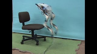 Mowgli: jumping legged robot driven by artificial muscles