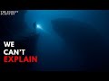 Deep Sea Mysteries Science Still Can’t Explain