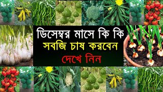 ডিসেম্বর মাসে কি কি সবজি চাষ করবেন দেখুন - ৭ টি লাভজনক সবজি চাষ - সবজি চাষ পদ্ধতি