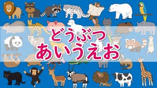 ひらがなの勉強【どうぶつあいうえお】子供向け知育動画★Learn Hiragana and Japanese