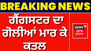 Breaking News | ਗੈਂਗਸਟਰ ਦਾ ਗੋਲੀਆਂ ਮਾਰ ਕੇ ਕਤਲ |Gangster Murder News |Bharatpur |Rajasthan News | Live