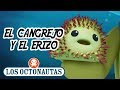 Los Octonautas Oficial en Español - El Cangrejo y El Erizo | Episodio 17