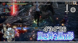 【MHRise】嵐に舞う黒い影 クシャルダオラ 片手剣 4'34\