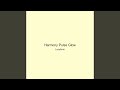 Harmony Pulse Glow