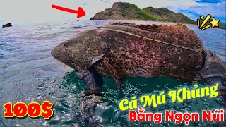 Dằn Co Với Cá Mú Khủng To Bằng Quả Núi Suốt 300 Hiệp | Spearfishing