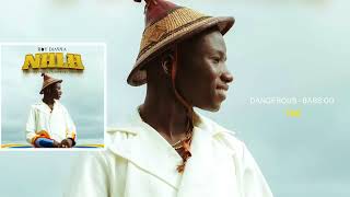 BOY DIARRA FEAT BABS OG - DANGEROUS (NHLH)