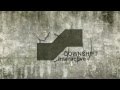 Video For Business - Downshift Interactive