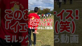 【モルックおもしろ動画】このあと、ナイス‼︎「イェーイ‼︎」(笑)#モルック #おもしろ動画 #shorts #モルック兵庫県大会