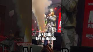 Brown Munde LIVE A P Dhillon - AP Dhillon all songs | AP DHILLON LIVE CONCERT India 2023