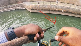 Caesars Creek Spillway Fishing (Ohio Fishing)