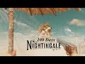 I have 100 days to find Nightingale...Here's what happens