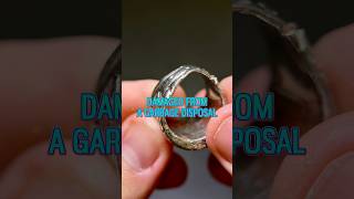 Ring vs Garbage Disposal