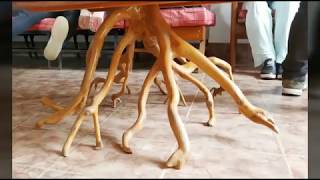 Creative wooden roots design...