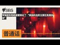 贺锦丽和特朗普要辩论了 “美国的选民主要还是看热闹” sbs mandarin sbs 普通话电台