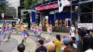 東京よさこい　西口公園　２０１６