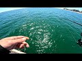 fluke fishing from pier coney island nyc summer flounder