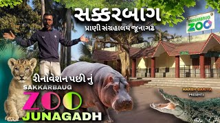 🦁 સક્કરબાગ પ્રાણી સંગ્રહાલય 2025 || sakkarbaug zoo junagadh || જૂનાગઢ પ્રાણી સંગ્રહાલય રીનોવેશન 🐾🦌🦍