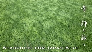 青ノ詩を詠う - Searching for Japan Blue 「御浜は年中青し」