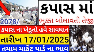 Kapas na bhav | 17-01-2025 | કપાસના ભાવ:2025 | Information about Cotton Crop Price | Commodity Trend