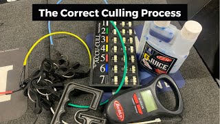 The Correct Way To Cull!