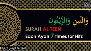 Surah Al Teen 7 Times for Hifz|Hear & Learn to read Quran| Qari Adnan Hussain