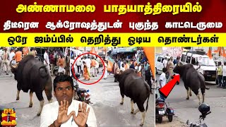 அண்ணாமலை பாதயாத்திரையில் திடீரென ஆக்ரோஷத்துடன் புகுந்த காட்டெருமை. ஒரே ஜம்ப்பில் தெறித்த தொண்டர்கள்