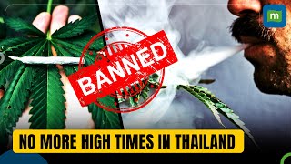 Thailand Moves to Ban Recreational Marijuana Use By The End Of 2024 | Smoking Laws