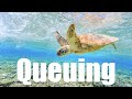 Queuing - A QoS Shallow Dive