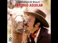 ay chabela antonio aguilar