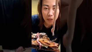 What is shipworm|#shorts