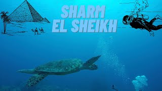 Sharm El Sheikh Diving / Şarm El Şeyh Dalış