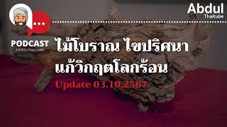 ไม้โบราณ กุญแจไขปริศนาแก้วิกฤตโลกร้อน : Podcast